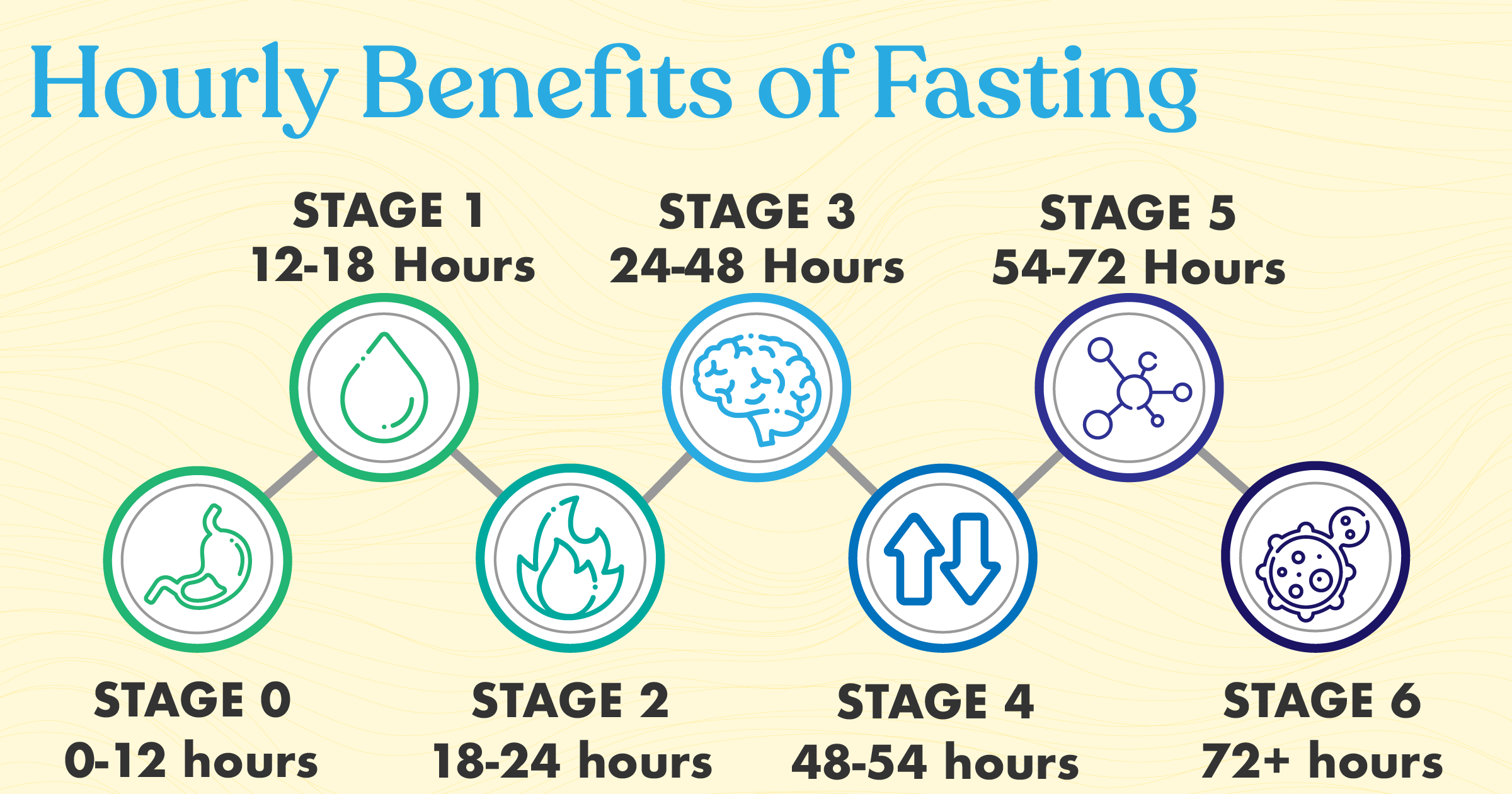 Metabolic StepByStep Stages of Fasting In The First 72hrs Temper